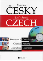 Mluvme_cesky.jpg